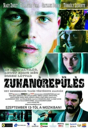 Пикирующий полёт 2007
