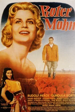 Roter Mohn 1956