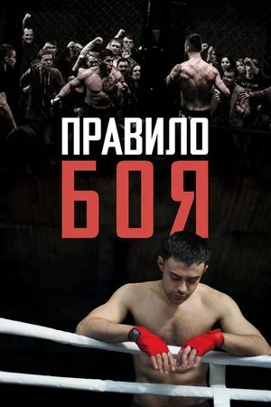 Правило боя 2017