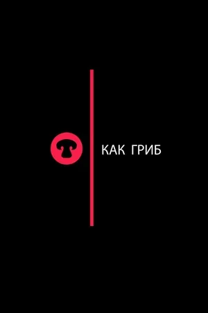 Как гриб 2017