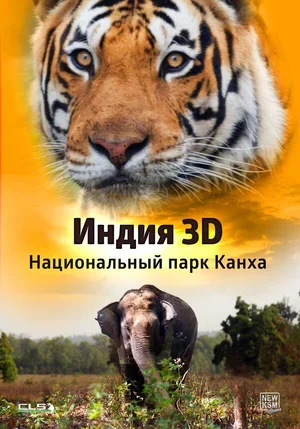 Индия 3D: Национальный парк Канха 2014