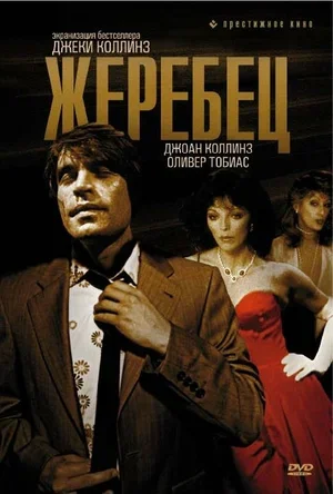 Жеребец 1978