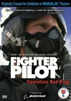 Боевые пилоты: Операция «Красный флаг» 2004
