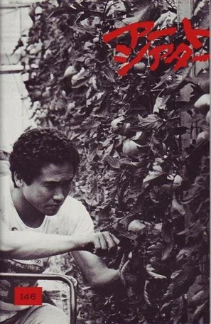 Отдалённый гром 1981