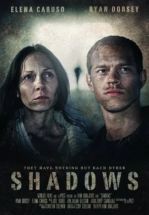 Shadows 2014