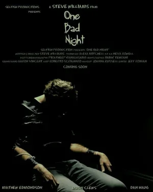 One Bad Night 2015