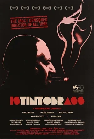Istintobrass 2013