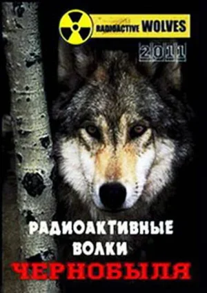 Радиоактивные волки Чернобыля 2011