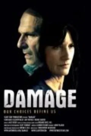 Damage 2011
