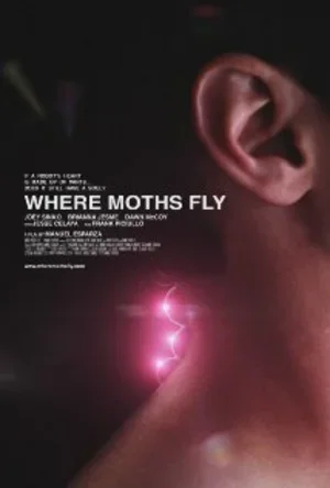 Where Moths Fly 2012