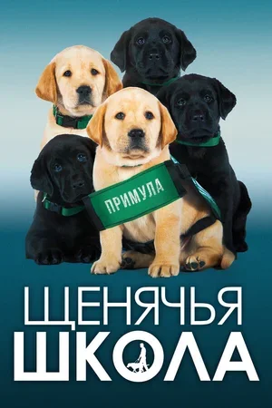 Щенячья школа 2018