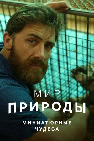 Мир природы. Миниатюрные чудеса 2017