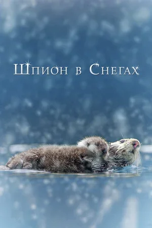 Шпион в снегах 2018