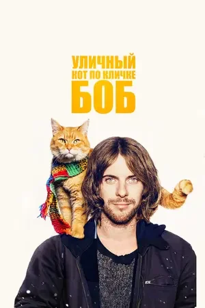 Уличный кот по кличке Боб 2016