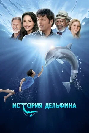 История дельфина 2011