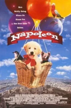 Наполеон 1995