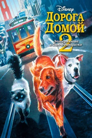 Дорога домой 2: Затерянные в Сан-Франциско 1996