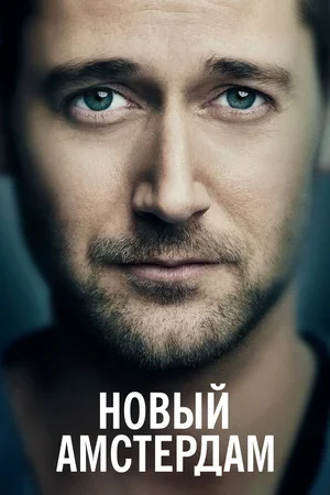 Новый Амстердам 2018
