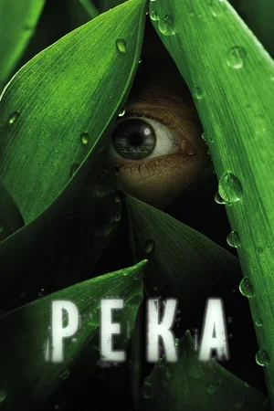 Река 2012