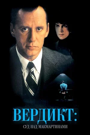 Вердикт: Суд над МакМартинами 1995