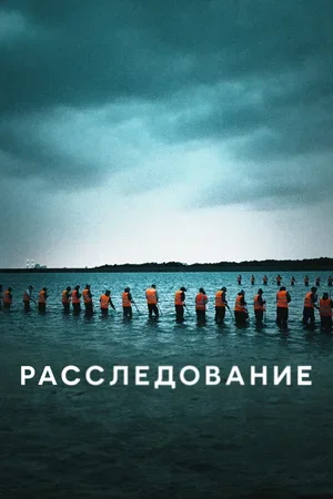 Расследование 2020