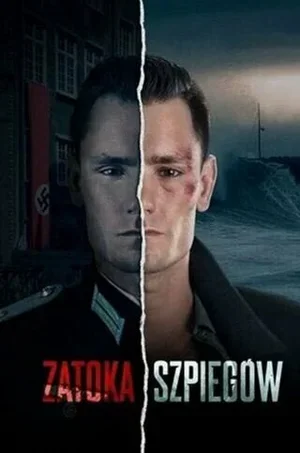 Шпионский залив 2024