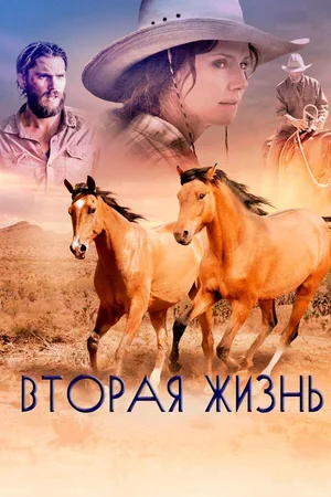 Вторая жизнь 2017