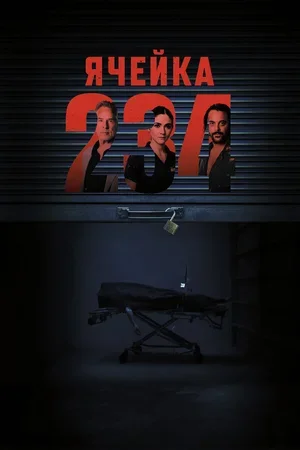 Ячейка 234 2023