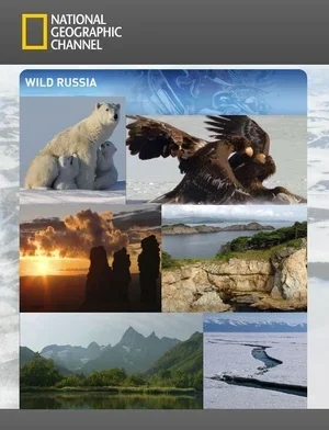 Дикая природа России 2008
