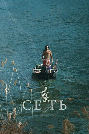 Сеть 2016