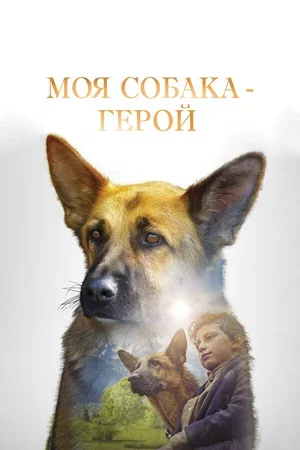 Моя собака — герой 2018
