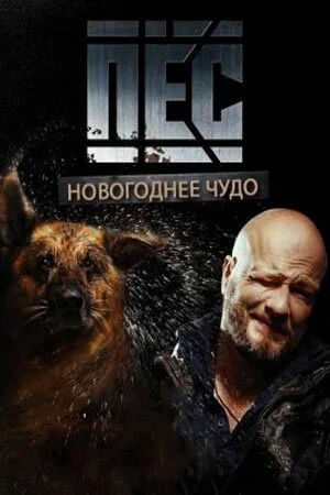 Пёс. Новогоднее чудо 2018
