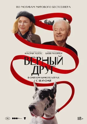 Верный друг 2024