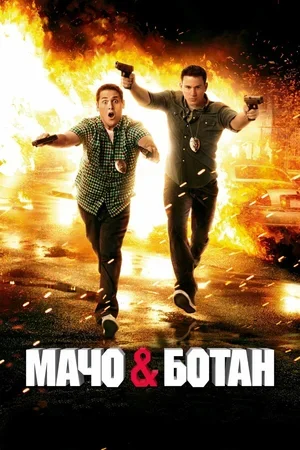 Мачо и ботан 2012