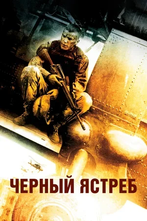 Чёрный ястреб 2001