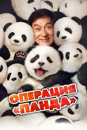 Операция «Панда» 2024