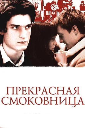 Прекрасная смоковница 2008