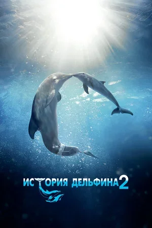 История дельфина 2 2014