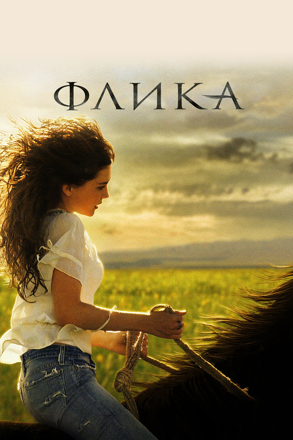 Флика 2006