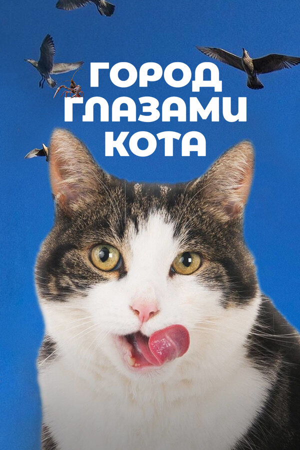 Город глазами кота 2018