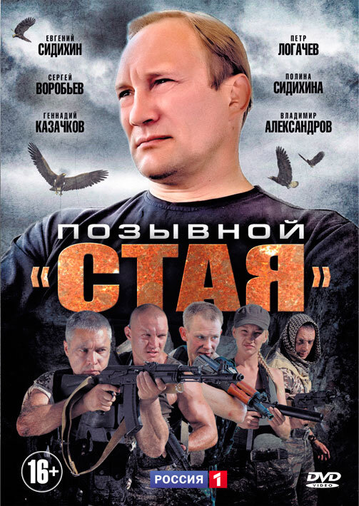 Позывной «Стая» 2013