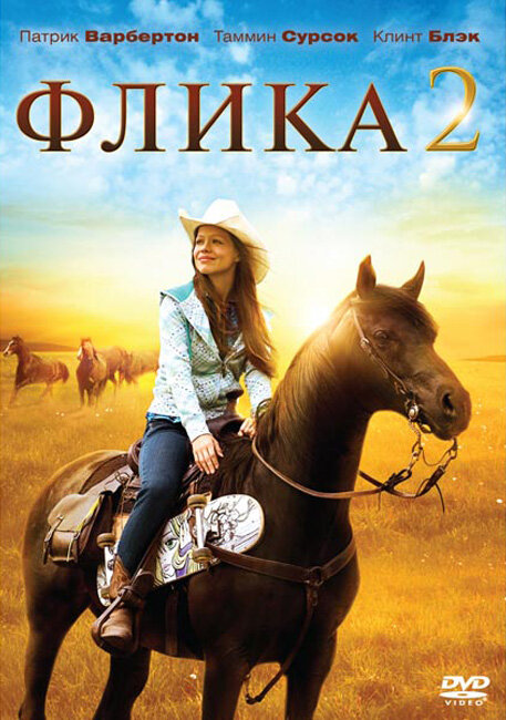 Флика 2 2010