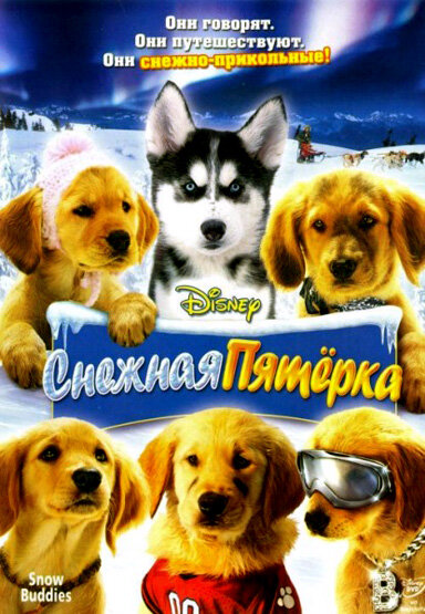 Снежная пятерка 2008
