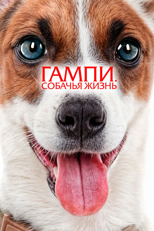 Гампи. Собачья жизнь 2024