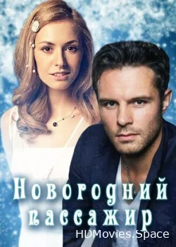Новогодний пассажир 2017