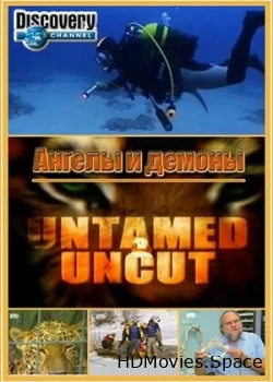 Дикие и опасные 2008