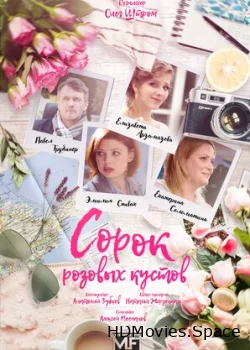 Сорок розовых кустов 2018