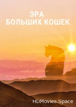 Эра больших кошек 2018