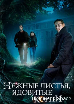 Нежные листья, ядовитые корни 2019