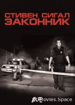 Законник 2009
